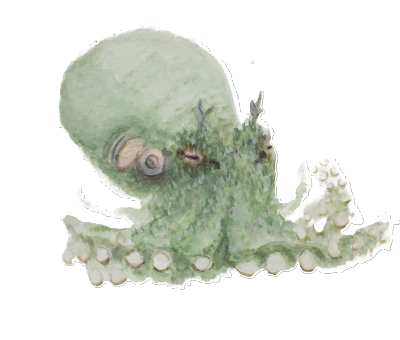 Octopus